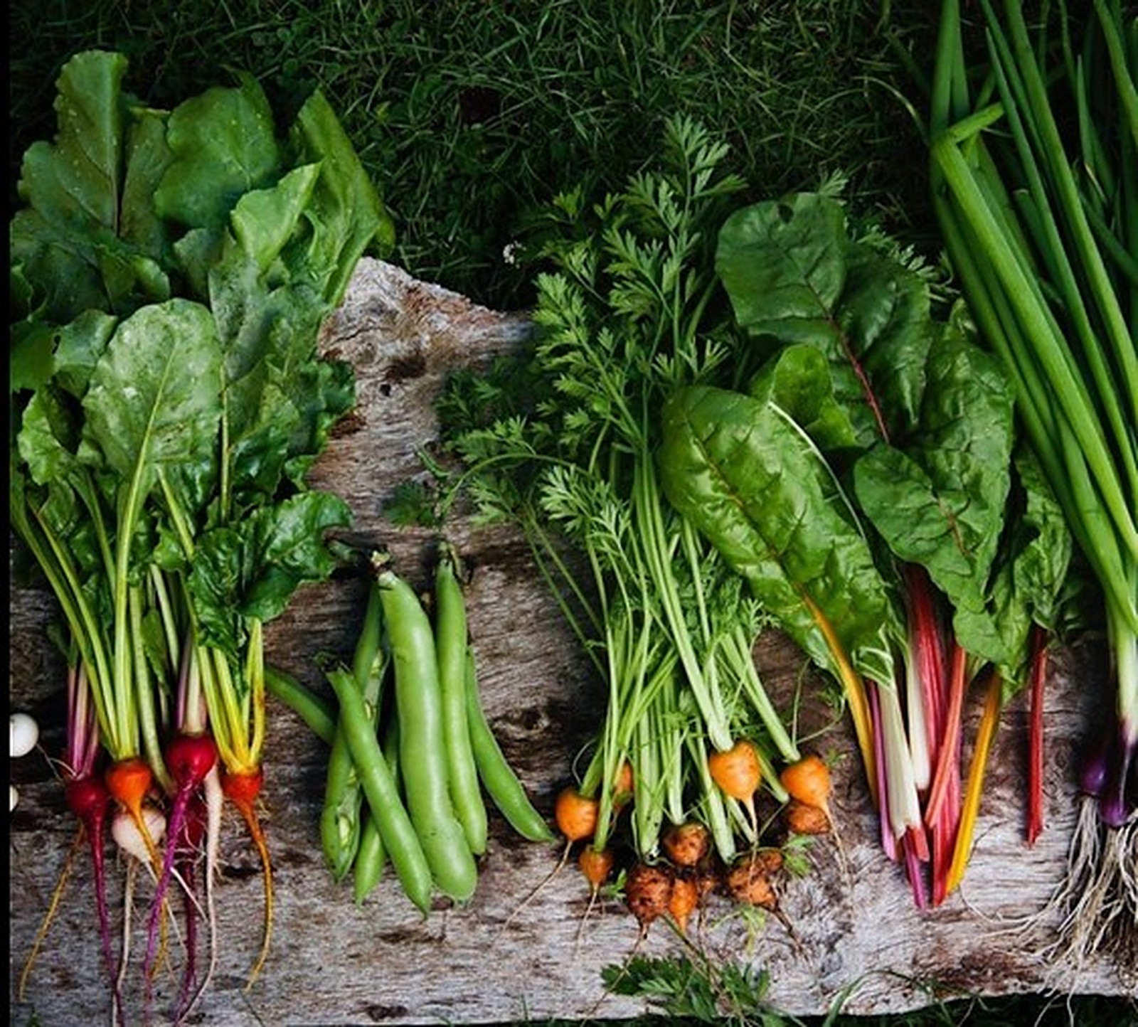 Vegetables on old wood